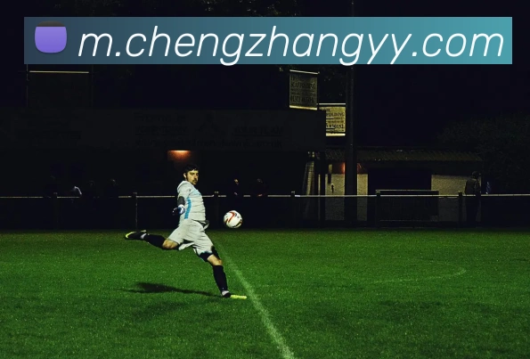 星空体育APP 高清赛事图